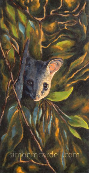 Nocturne 1 (possum)