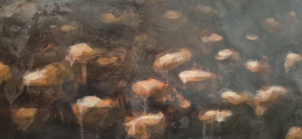 The Valley Below - Image 3