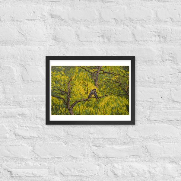 Canopy Cockatoos Framed poster - Image 2