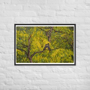 Canopy Cockatoos Framed poster