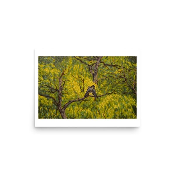 Canopy Cockatoos - Image 6