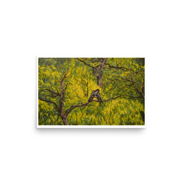 Canopy Cockatoos - Image 7
