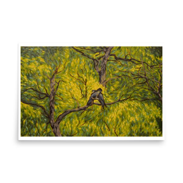 Canopy Cockatoos - Image 11