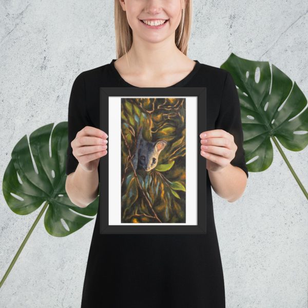 Possum Nocturne Framed poster