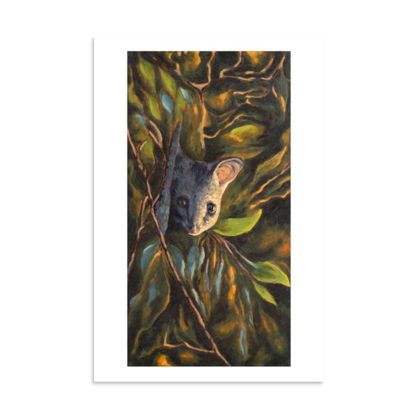 Possum Nocturne Poster - Image 8