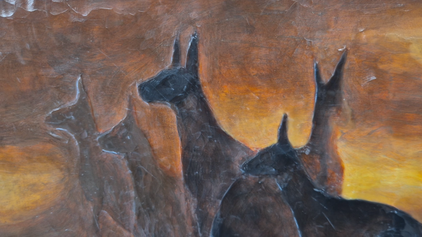 Settled Sun 2 - Image 4